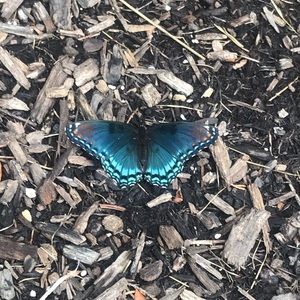 Meet your Posher, Erika